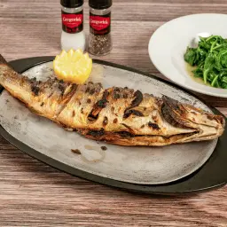 Bronzino